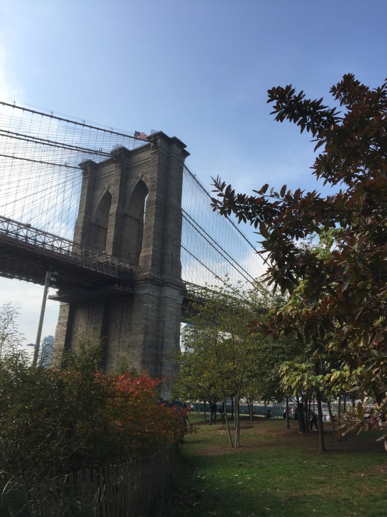brooklyn-bridge-park
